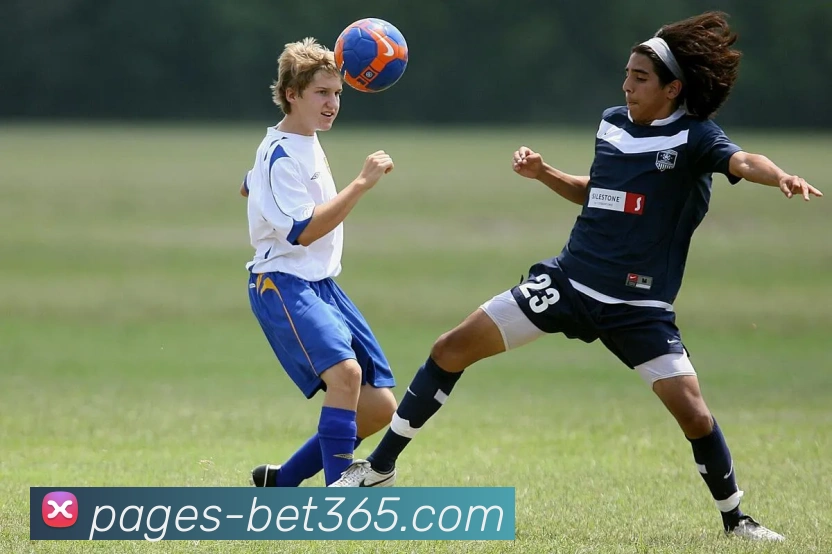 Bet365体育官网APP 体育赛事宣传图